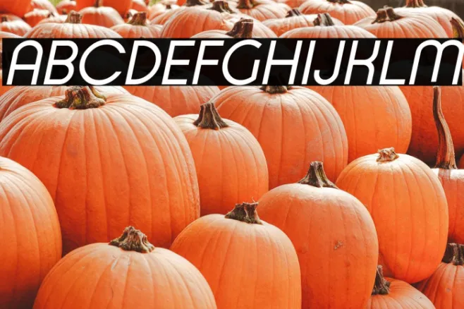 Typo Ring Demo Italic Example 2