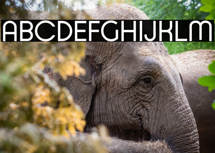 Typo Ring Demo Example 2