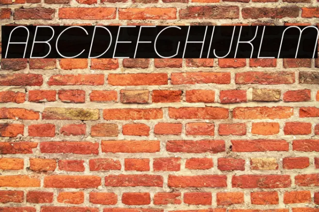 Typo Ring Light Demo Italic Example 1