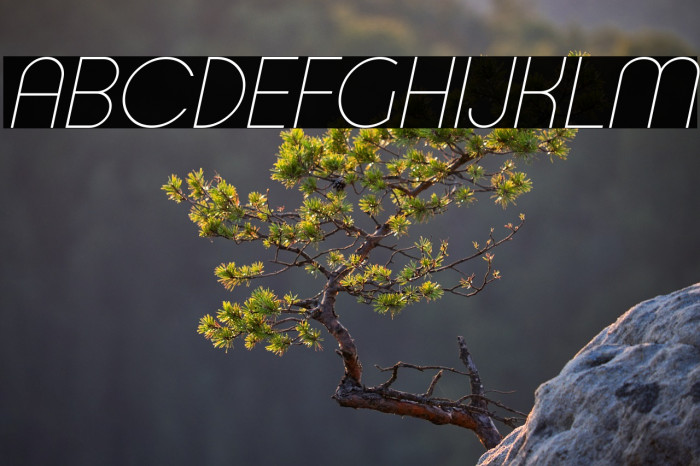 Typo Ring Light Demo Italic Example 3