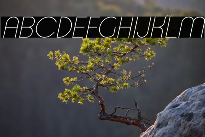 Typo Ring Light Demo Italic Example 3