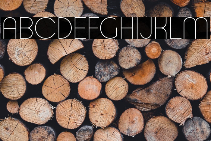 Typo Ring Light Demo Example 3