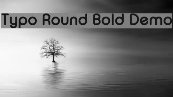 Typo Round Bold Demo Font examples