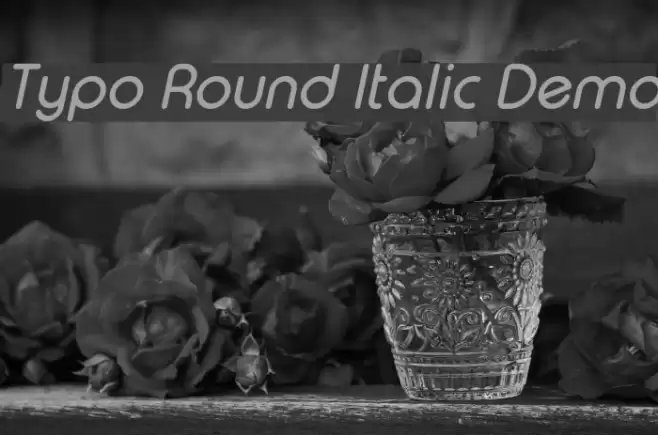 Typo Round Italic Demo Font examples