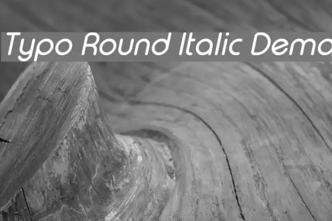 Typo Round Italic Demo Font examples