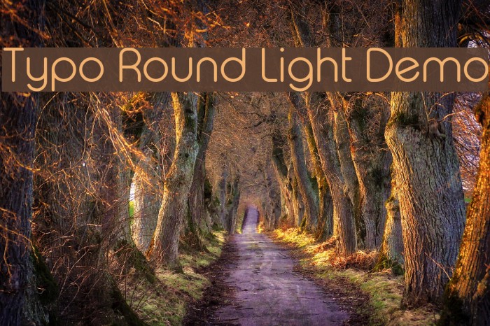 Typo Round Light Demo Font - FFonts.net