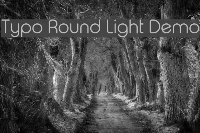 Typo Round Light Demo Font examples