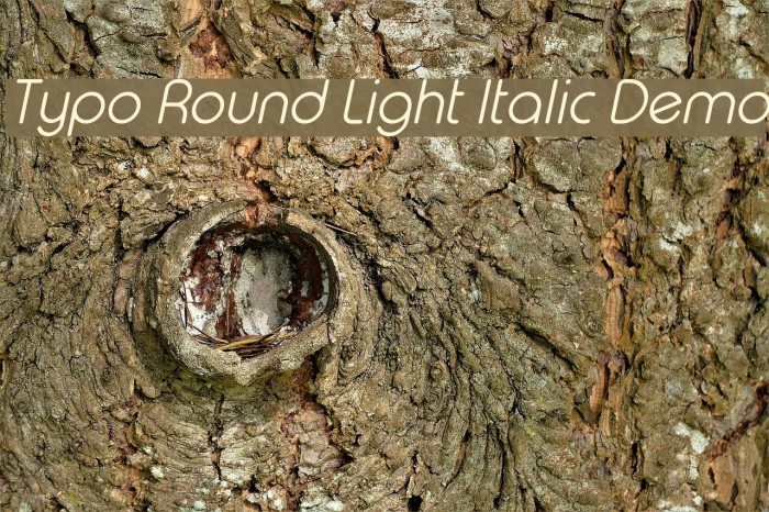 Typo Round Light Italic Demo Font examples