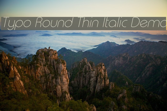 Typo Round Thin Italic Demo Font examples