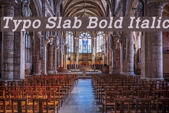 Typo Slab Bold Italic Font examples