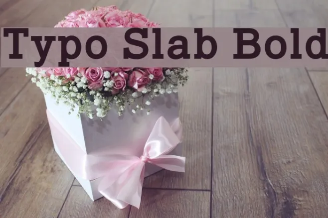 Typo Slab Bold Example 2