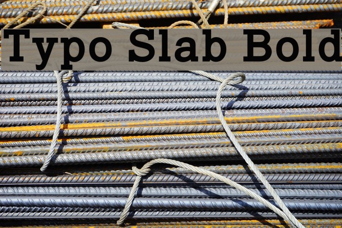 Typo Slab Bold Font examples