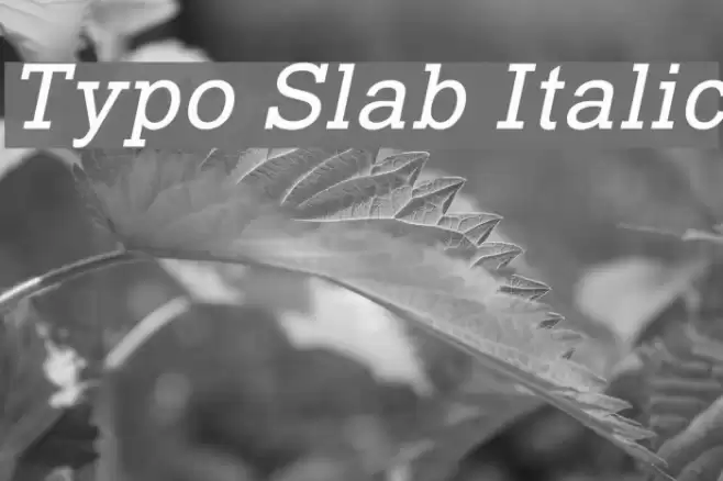 Typo Slab Italic Caratteri examples