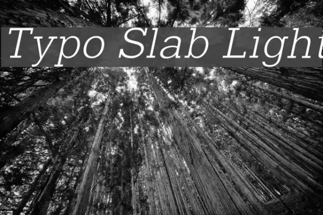 Typo Slab Light Font examples