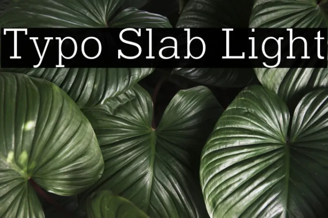 Typo Slab Light Example 2