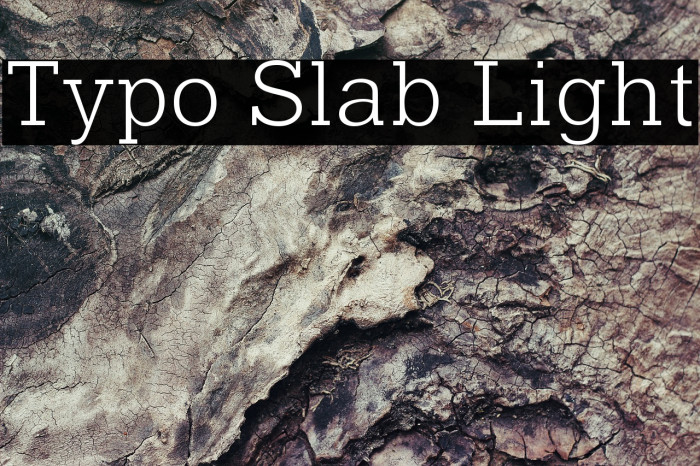 Typo Slab Light Font examples
