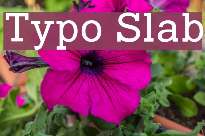 Typo Slab Font examples
