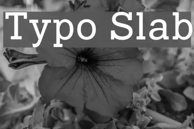 Typo Slab Schriftart examples