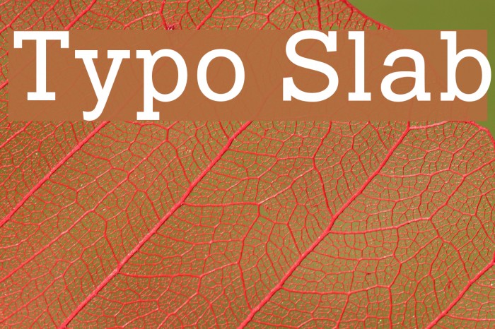 Typo Slab Font examples
