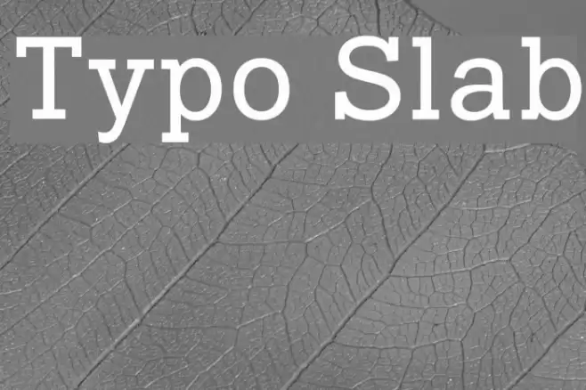 Typo Slab Schriftart examples