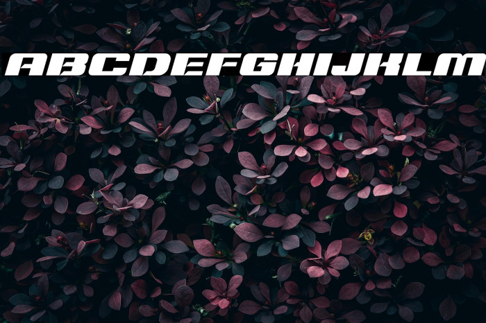 Typo Speed Black Demo Italic Example 1