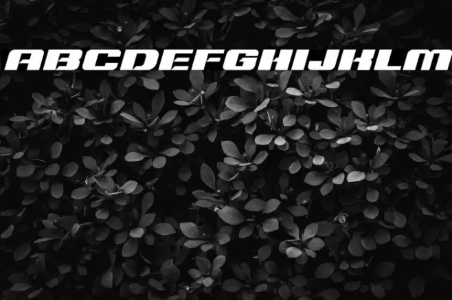 Typo Speed Black Demo Italic Font examples