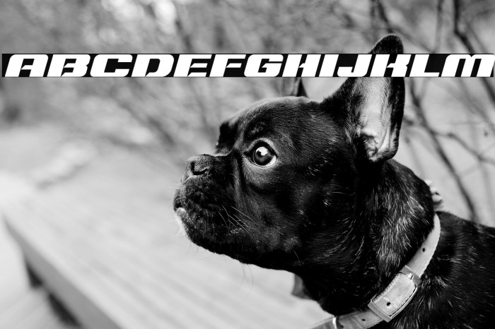 Typo Speed Black Demo Italic Example 2