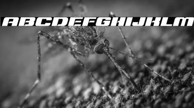 Typo Speed Black Demo Italic Font examples