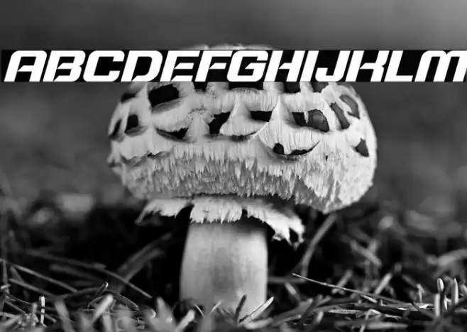 Typo Speed Bold Demo Italic Font examples