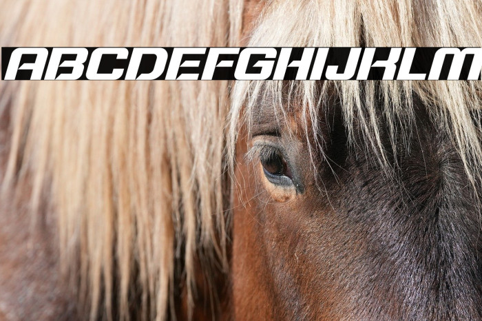 Typo Speed Bold Demo Italic Example 3