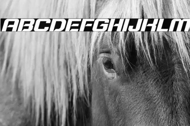 Typo Speed Bold Demo Italic Font examples