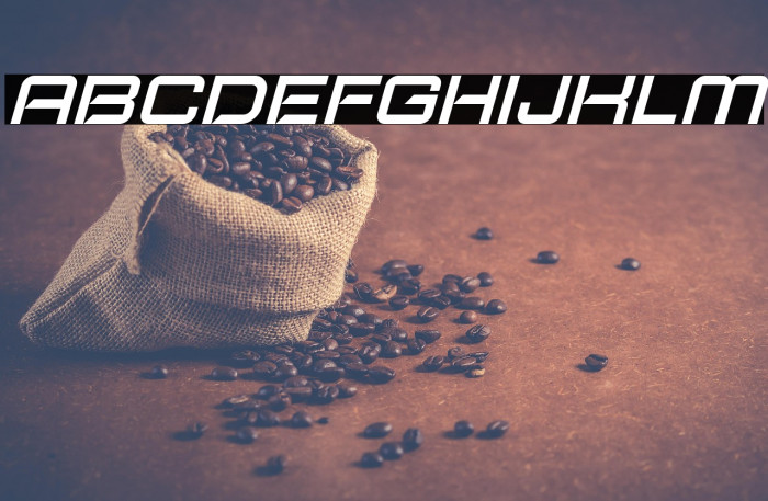 Typo Speed Demo Italic Example 2