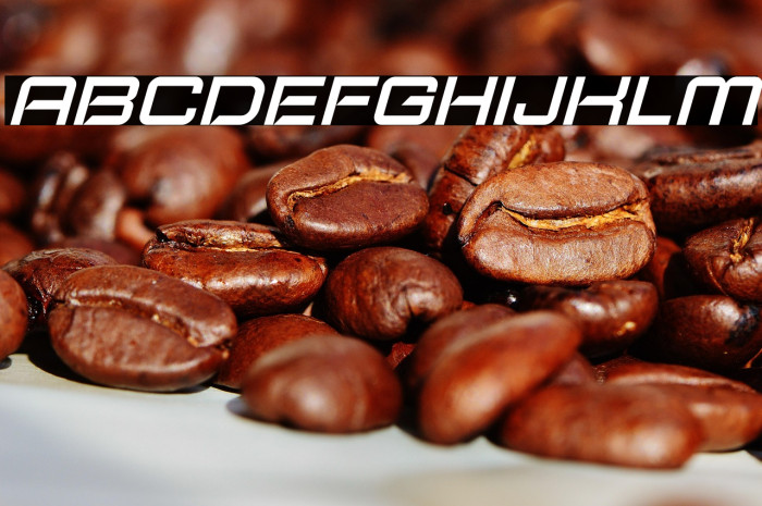 Typo Speed Demo Italic Example 3