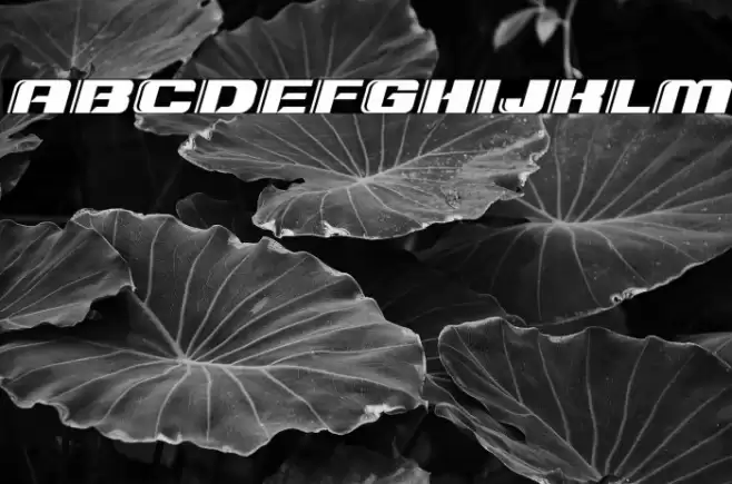 Typo Speed Shadowed Demo フォント examples