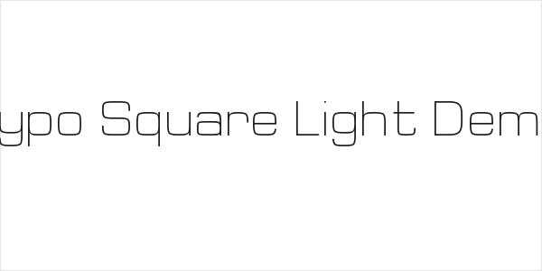 Typo Square Light Demo Logo