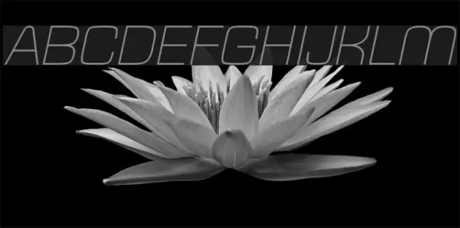 Typo Square Light Italic Demo examples