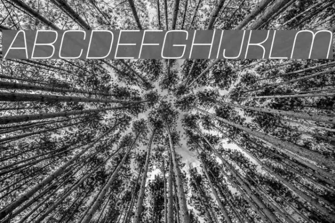 Typo Square Light Italic Demo examples