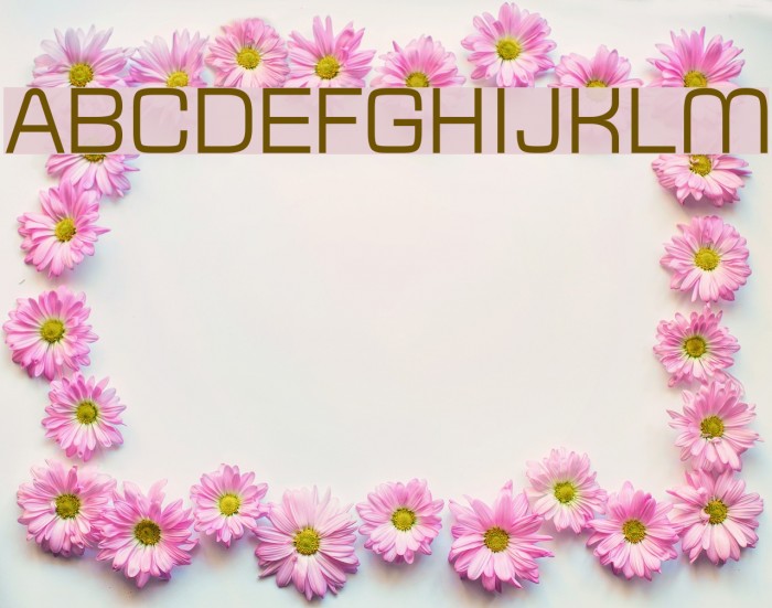 Typo Square Regular Demo Font examples