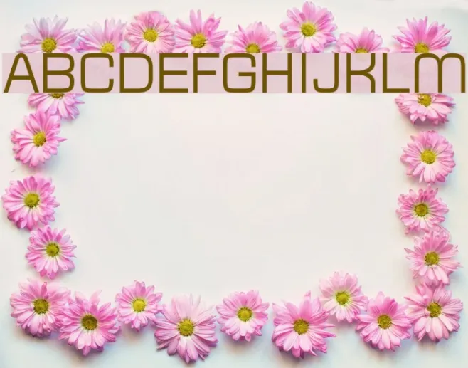 Typo Square Regular Demo Example 2
