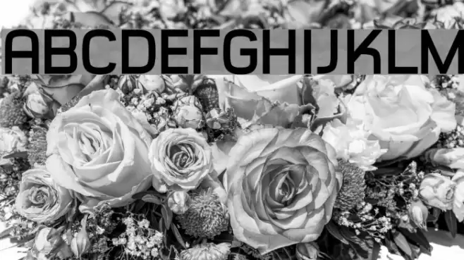 Typo Style Demo Bold Font examples