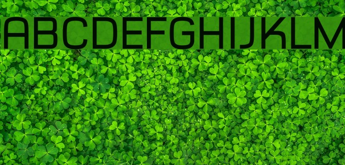 Typo Style Demo Font examples