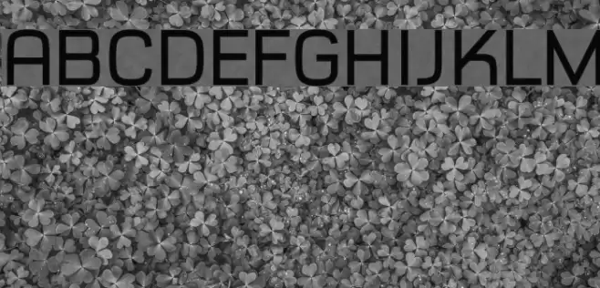 Typo Style Demo Polices examples