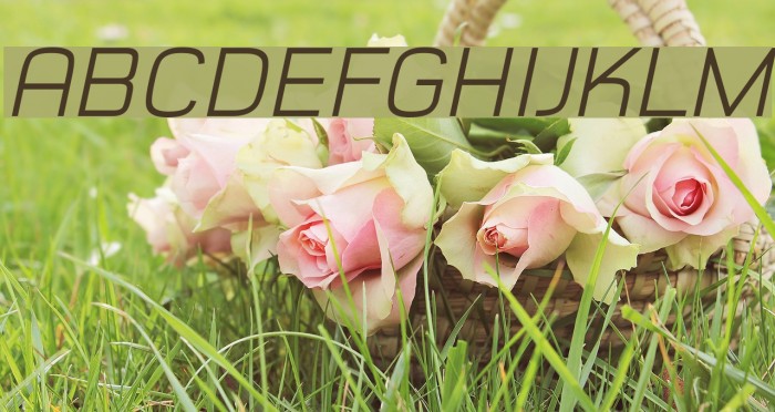 Typo Style Light Demo Italic Font examples