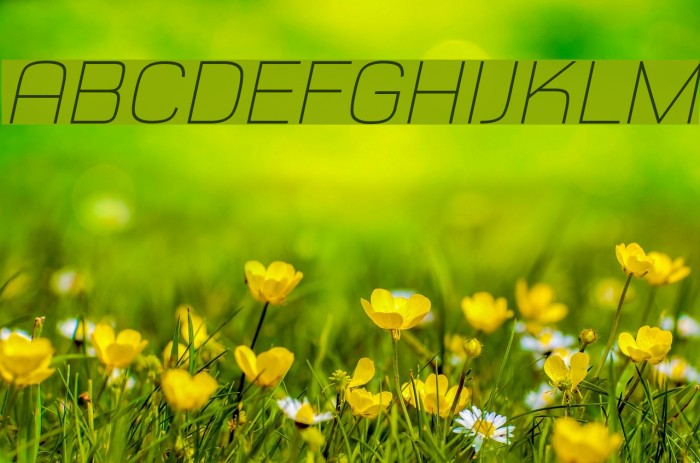 Typo Style Thin Demo Italic Font examples