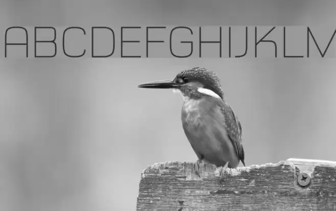 Typo Style Thin Demo Font examples