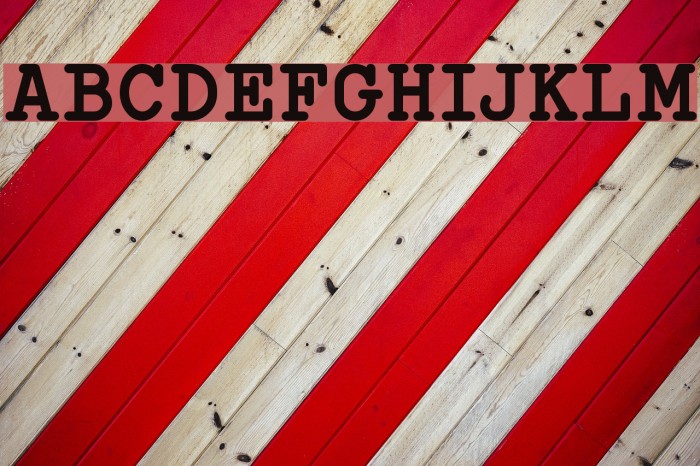 Typo Writer Demo Bold フォント examples