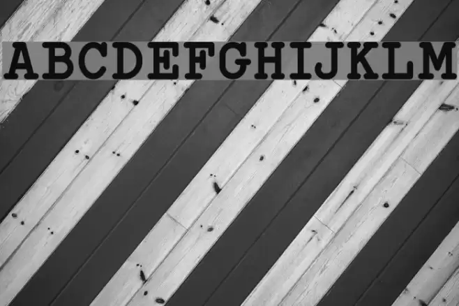 Typo Writer Demo Bold フォント examples