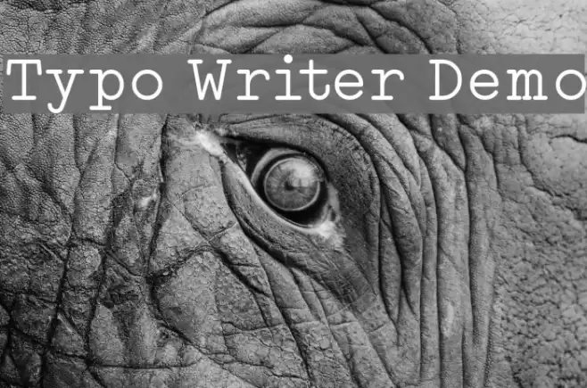 Typo Writer Demo Font examples