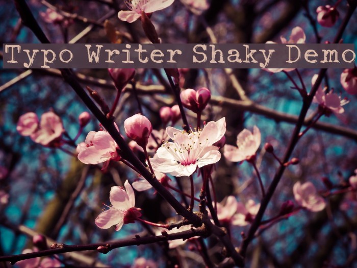 Typo Writer Shaky Demo Font examples
