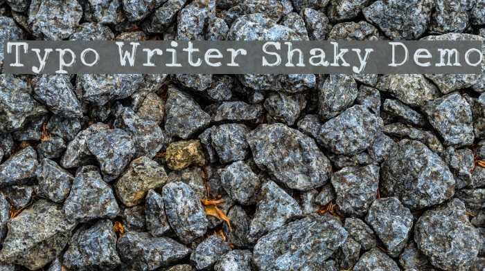 Typo Writer Shaky Demo Font examples